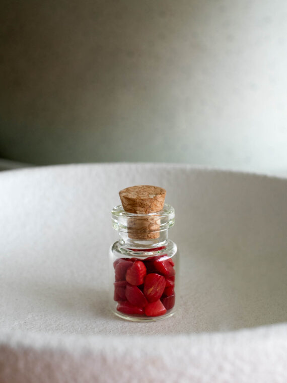 PRODUCTO_ MINI JAR CORAL
