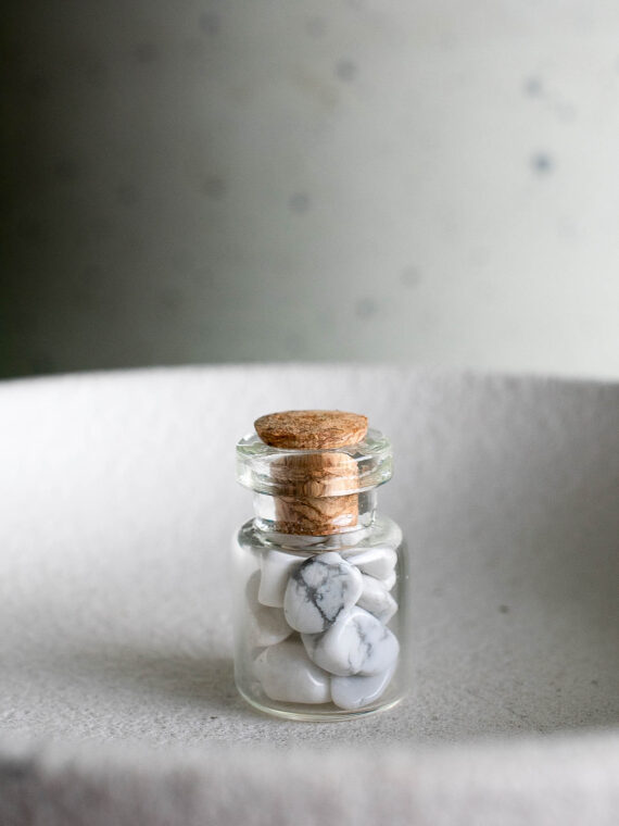 PRODUCTO_ MINI JAR HOWLITA